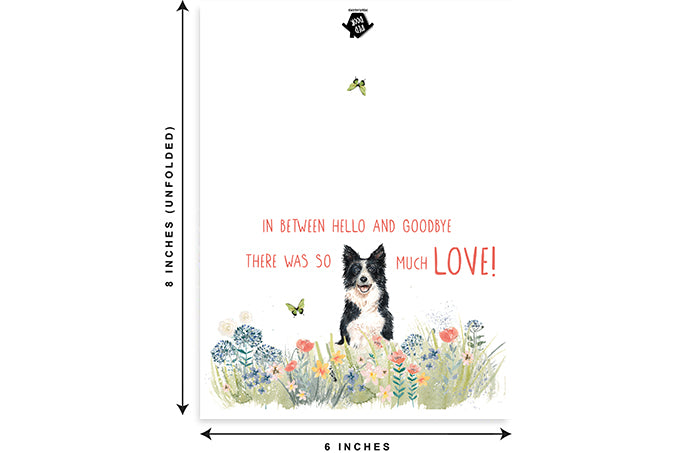 Dog Meadow Single Card