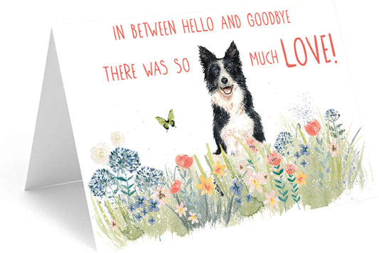 Dog Meadow Single Card
