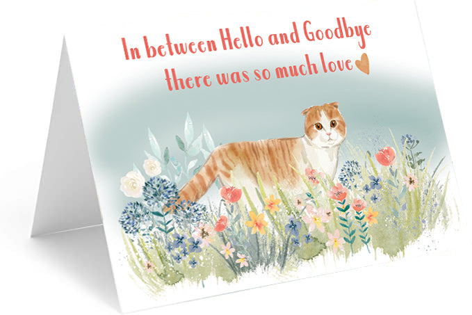 Cat Meadow Sympathy Single Card