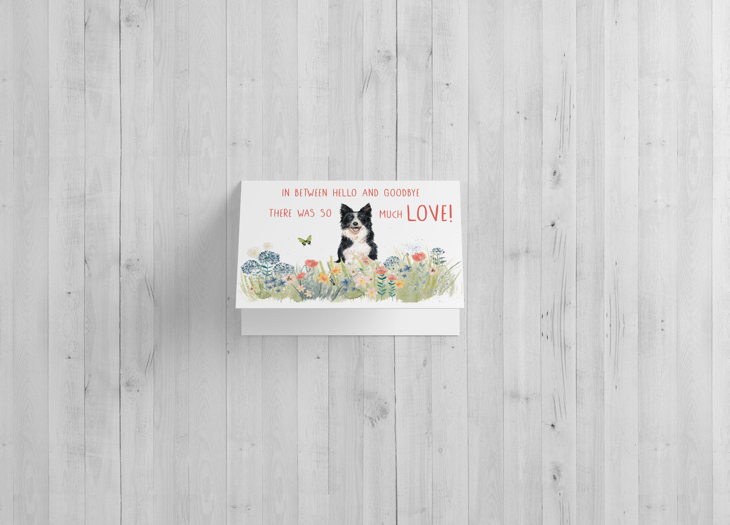 Dog Meadow Single Card